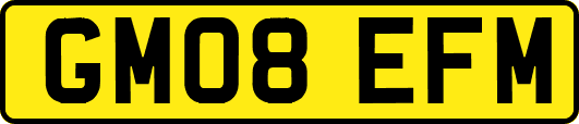 GM08EFM