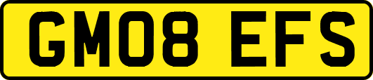 GM08EFS