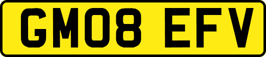 GM08EFV