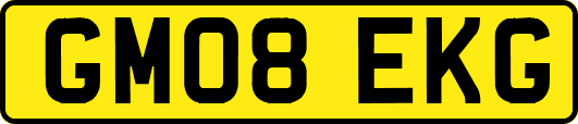 GM08EKG
