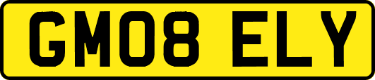 GM08ELY