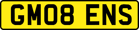 GM08ENS