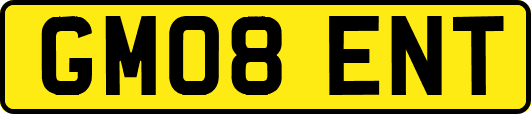 GM08ENT