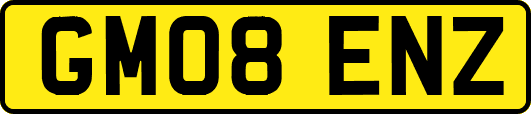 GM08ENZ