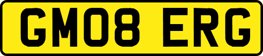 GM08ERG