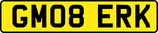 GM08ERK