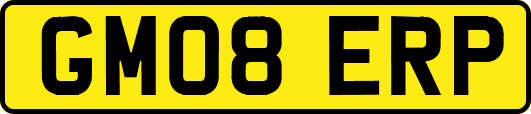 GM08ERP