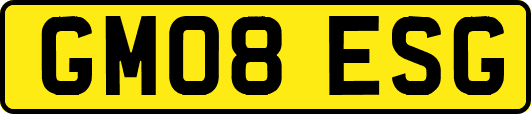GM08ESG