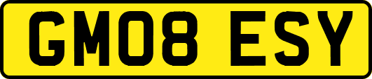 GM08ESY