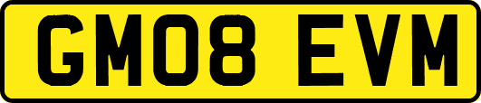 GM08EVM