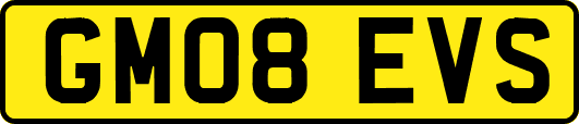 GM08EVS