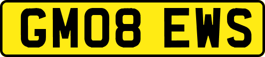 GM08EWS