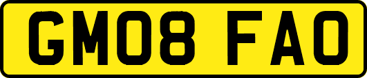 GM08FAO