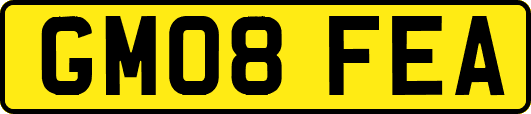 GM08FEA