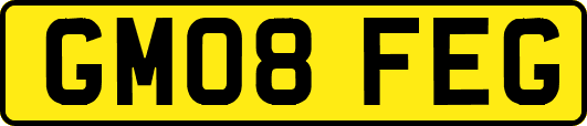 GM08FEG