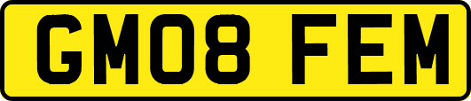 GM08FEM