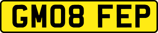 GM08FEP