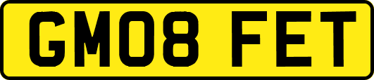 GM08FET