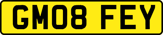 GM08FEY
