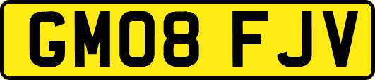 GM08FJV