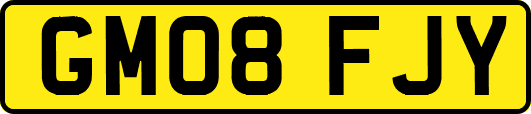 GM08FJY