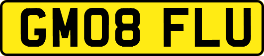 GM08FLU