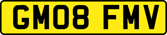 GM08FMV