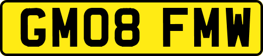 GM08FMW