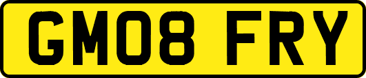 GM08FRY