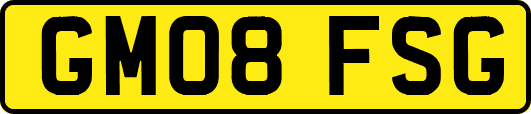 GM08FSG