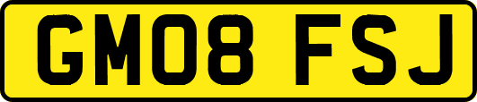 GM08FSJ