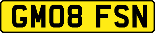 GM08FSN