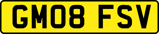 GM08FSV