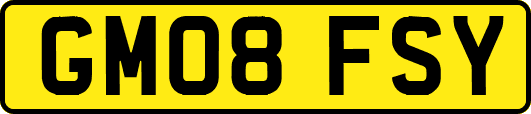 GM08FSY