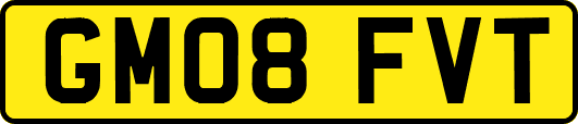 GM08FVT