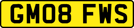 GM08FWS