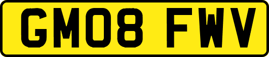 GM08FWV