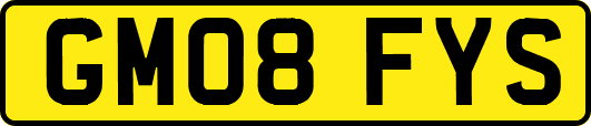 GM08FYS