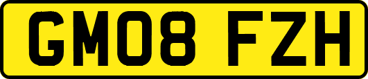 GM08FZH