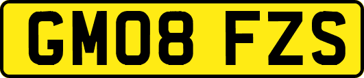 GM08FZS
