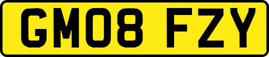 GM08FZY