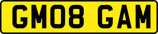 GM08GAM