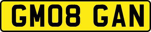 GM08GAN