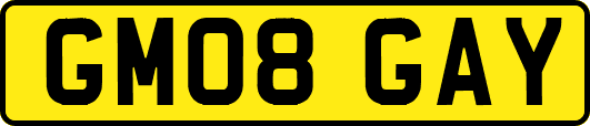GM08GAY