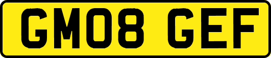 GM08GEF