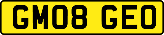 GM08GEO
