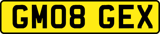 GM08GEX