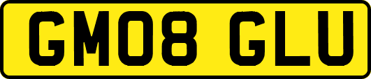 GM08GLU