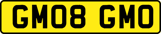 GM08GMO