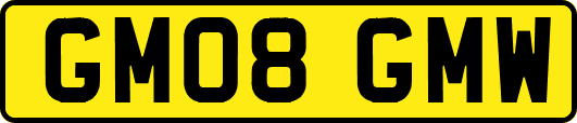 GM08GMW